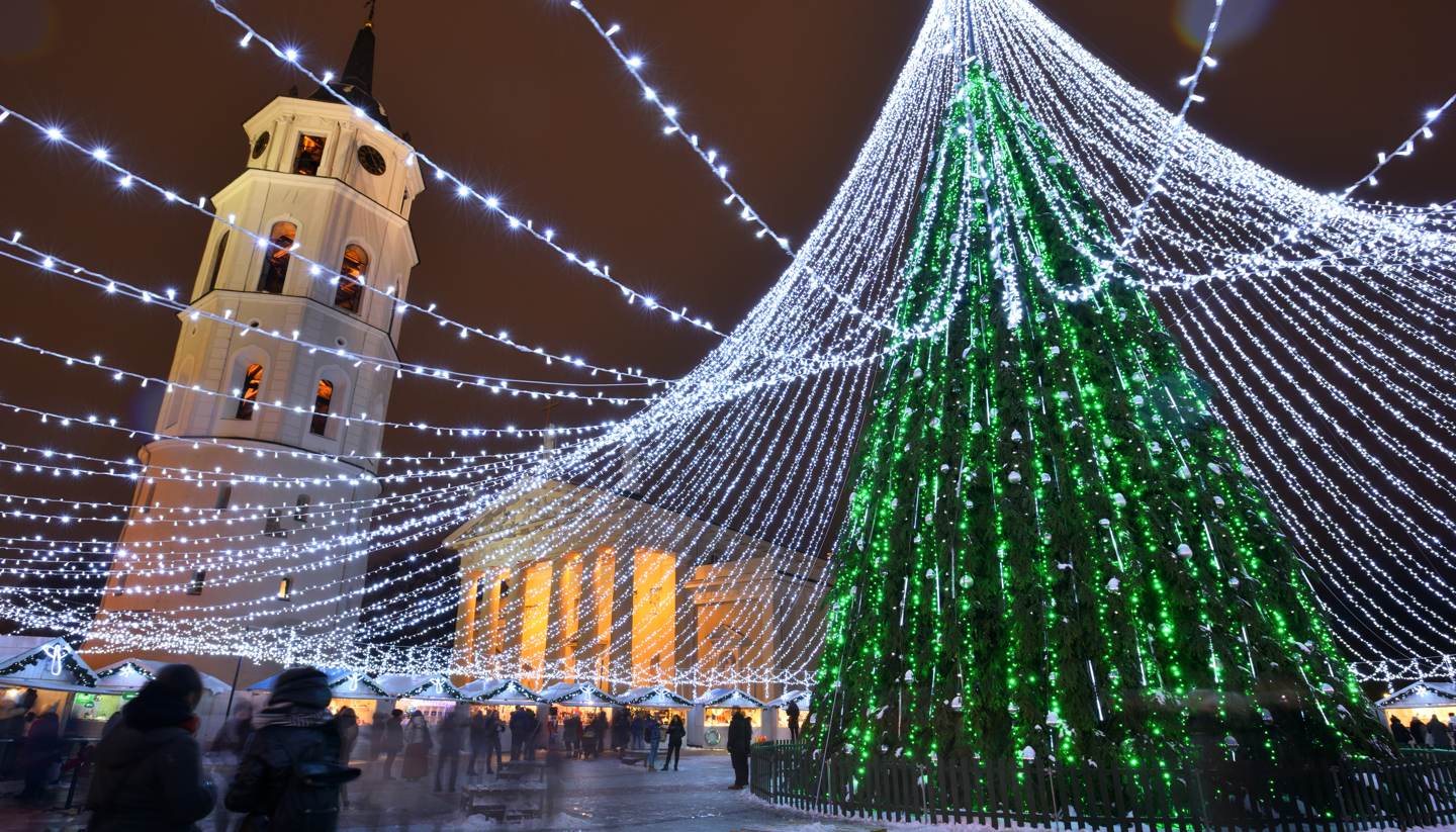 Vilnius Christmas trees1