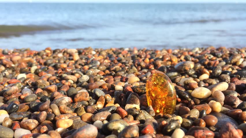 Amber in Baltic coast