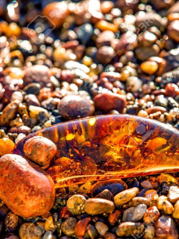Amber on a beach of the Baltic Sea